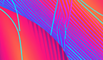 Crise ou renouveau Ce que les mouvements sociaux disent de la démocratie en France